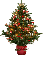 Christmas Tree - Free PNG