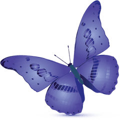 Simple Butterfly Logo Templates - Holly Blue Png