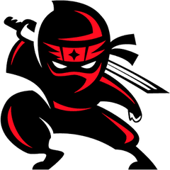 Icon Ninja - Unseen Ninja Png