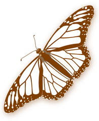 Brown Butterfly Clipart Png - Black And White Butterfly Png