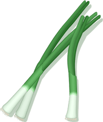 Green Onions Free Svg - Green Onion Vector Png