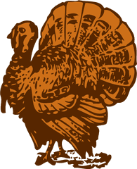 Png - Turkey Vector Art