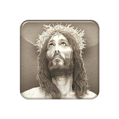 Download The Crown Of Thorns App - Christ Banner Green Crown Of Thorns Png