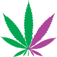 Menu0027s Health - Frequently Asked Questionsfaq Cropped Marijuana Leaf Logo Png