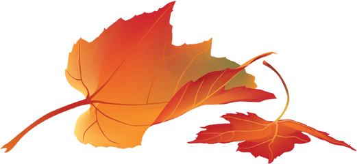 Free Png Autumn Leaves - Konfest Maple Leaf