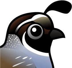 Cute California Quail - State Bird Of California Png