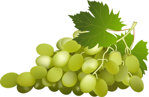 Green Grapes Free HD Image - Free PNG