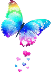 Rainbow Butterfly Transparent Background Png Arts - Colorful Butterfly Png