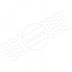 Mushroom Icon - Wild Mushroom Png