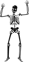 Skeleton Siluet Png Image