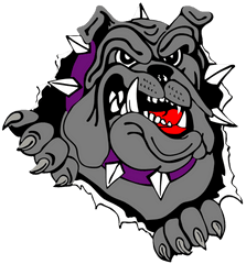 Bulldog Basketball Mascot Logos Free Image - Bulldog Logo Png