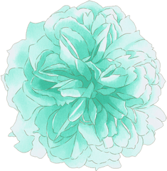 Image About Flower In Cute Transparents By - Flores Acuarela Verde Png