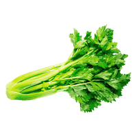 Celery Sticks Bunch Free Clipart HD - Free PNG