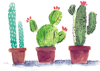 Watercolor Cactus In Pots Png