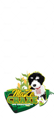 Design A Custom Snapchat Geofilter In 24 Hours - Dog Catches Something Png