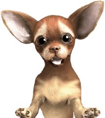 Dogs Transparent Png Images - Chiguagua