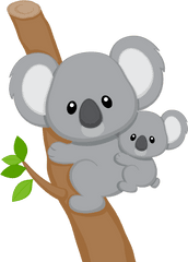 Png Hd Transparent Koala - Koala Clipart