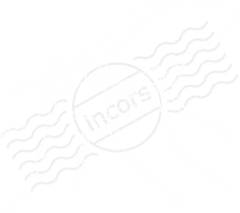 Mosquito Icon - White Mosquito Icon Png