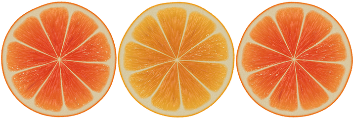 Vector Orange Slices Png Slice