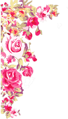 Pink Flowers Png - Mq Pink Roses Rose Border Borders Cute Birthday Wishes To Best Friend