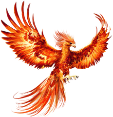 Pin - Harry Potter Phoenix Bird Png