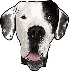 9 Png Great Dane