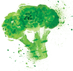 Broccoli Png - Watercolor Health