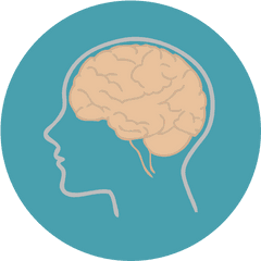 People Medical Brain Body Part - Biology Brain Icon Png