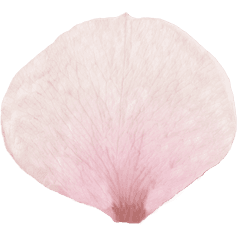 Cherry Blossom Petal Png Picture Royalty Free Stock - Heart