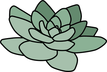 Cactus Suculent Tumblr Plant Green - Cactus Tumblr Png