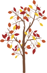 Graphic Fall Tree - Fall Graphic Png