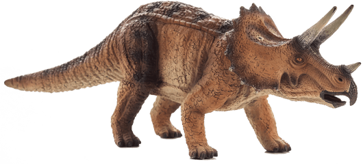 Triceratops - Triceratops Mojo Png