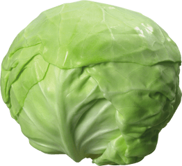 Cabbage Transparent Png Image