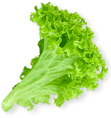 Burger Png Lettuce Leaf Transparent - Lettuce Png