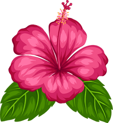 Hawaiian Aloha Tropical - Flower Clipart Png