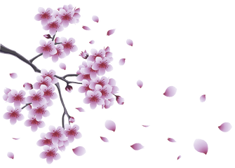 Spring Background Png Picture - Spring Png