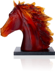 Arabian Horse Head - Stallion Png