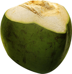 Coconut Png Transparent Images Free Download - Green Coconut