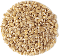 Download Small Pile Of Grain - Cereal Png