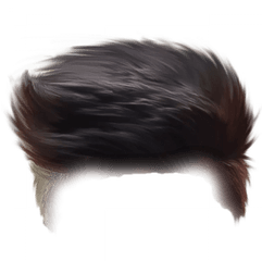 Best Hair Png Full Hd Transparent Images - Hair Style Png Hd