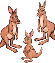 Red Kangaroo Zoomumba Wiki Fandom - Cartoon Png