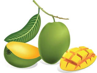 Download Green Mango Png - Green Mango Fruit Png