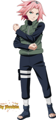 Anime Boy Full Body - Sakura Haruno Wallpaper 4k Png