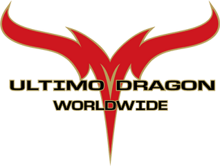 Ultimo Dragon Worldwide U2013 Established 1987 - Ultimo Dragon Logo Png