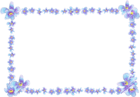 Forget Me Not Transparent - Free PNG