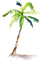 Download Painting Arecaceae Drawing Coconut - Watercolor Simple Watercolor Palm Tree Png