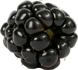 Download Free Png Blackberry - MÃ»re Png