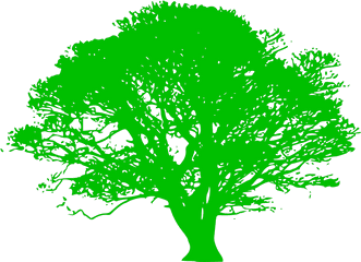 Green Tree Branch Png Svg Clip Art For Web - Download Clip Tree Silhouette