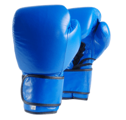 Blue Boxing Gloves Png Image - Transparent Background Boxing Gloves Png