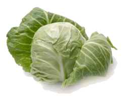 Cabbage - Free PNG